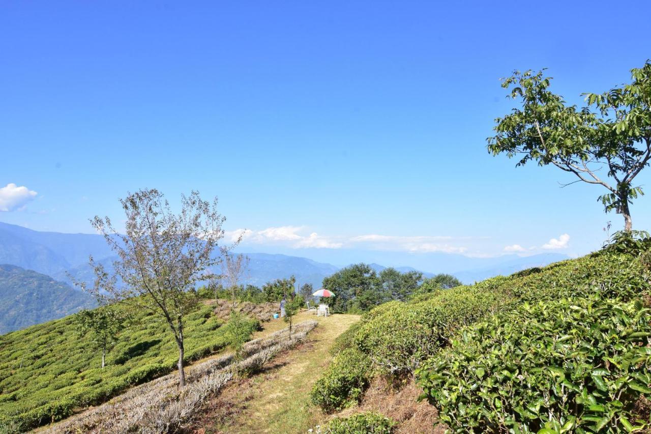 Singtom Tea Estate & Resort ดาร์จีลิง ภายนอก รูปภาพ