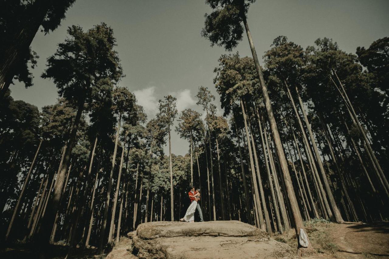 Singtom Tea Estate & Resort ดาร์จีลิง ภายนอก รูปภาพ
